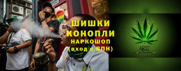 ПСИЛОЦИБИНОВЫЕ ГРИБЫ Няндома